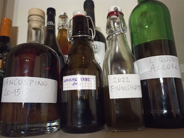 Qualità Positive dei Liquori Artigianali e Biologici