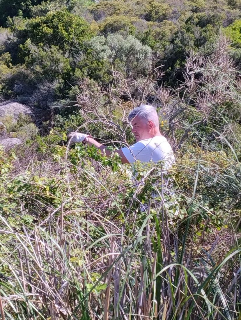 In the midst of the brambles